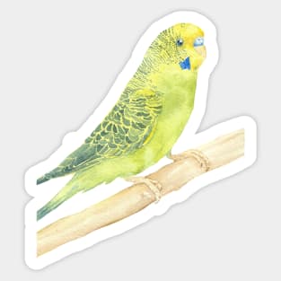 green and yellow budgie watercolor portrait Sticker